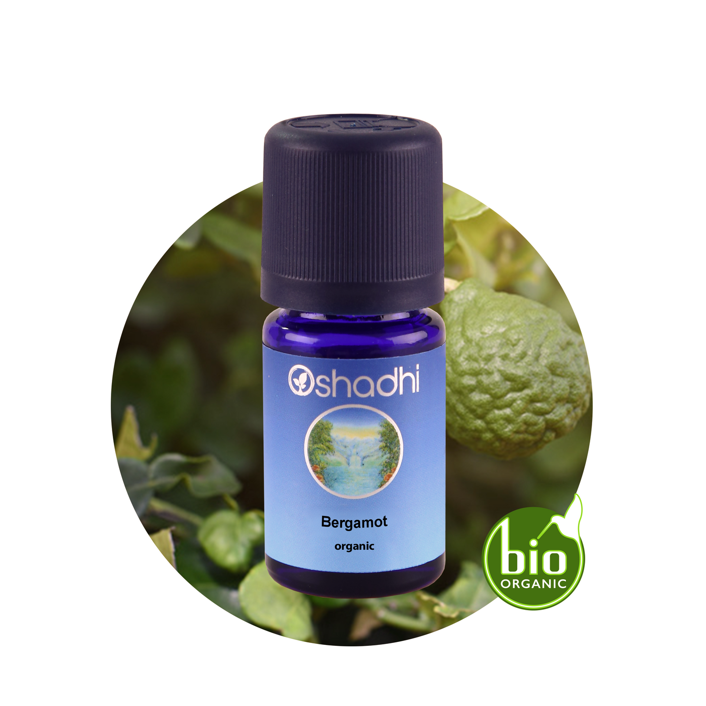 BERGAMOT | Bergamočių eterinis aliejus "Citrus bergamia"